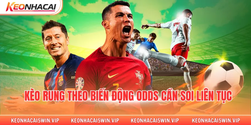 Kèo rung theo biến động odds cần soi liên tục